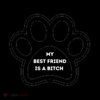 Funny My Best Friend Is A Bitch! Dog Lover Pom Pom 12in Knit Beanie