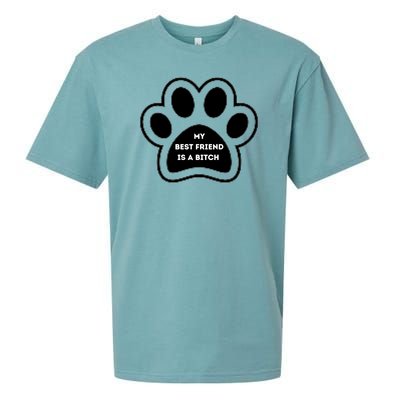 Funny My Best Friend Is A Bitch! Dog Lover Sueded Cloud Jersey T-Shirt