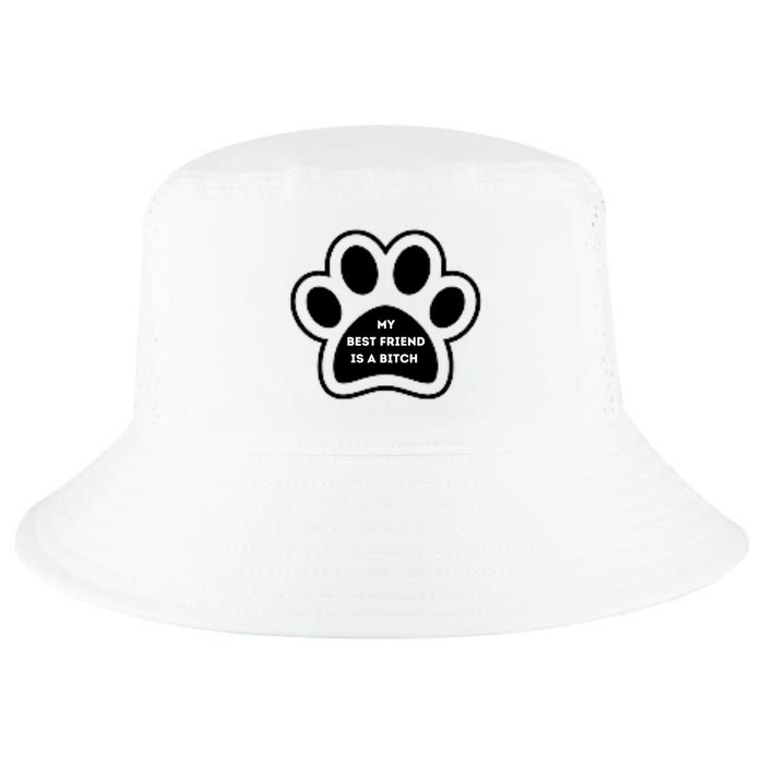 Funny My Best Friend Is A Bitch! Dog Lover Cool Comfort Performance Bucket Hat