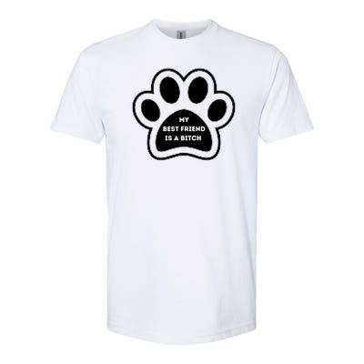 Funny My Best Friend Is A Bitch! Dog Lover Softstyle® CVC T-Shirt