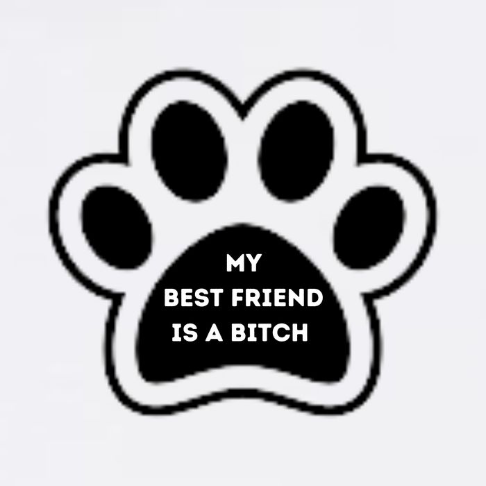 Funny My Best Friend Is A Bitch! Dog Lover Cooling Performance Crew T-Shirt