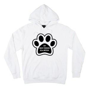 Funny My Best Friend Is A Bitch! Dog Lover Hoodie