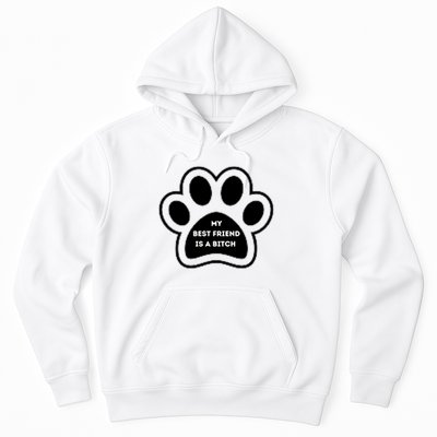 Funny My Best Friend Is A Bitch! Dog Lover Hoodie
