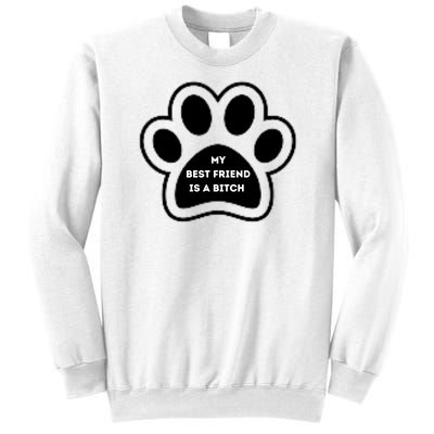 Funny My Best Friend Is A Bitch! Dog Lover Sweatshirt