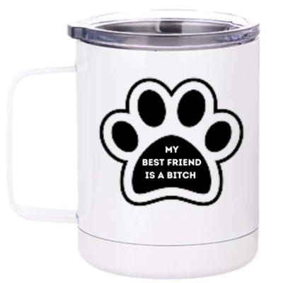 Funny My Best Friend Is A Bitch! Dog Lover 12 oz Stainless Steel Tumbler Cup