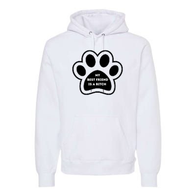 Funny My Best Friend Is A Bitch! Dog Lover Premium Hoodie