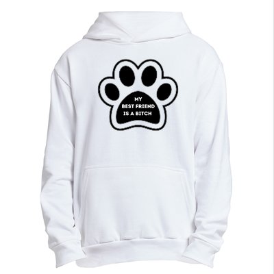 Funny My Best Friend Is A Bitch! Dog Lover Urban Pullover Hoodie