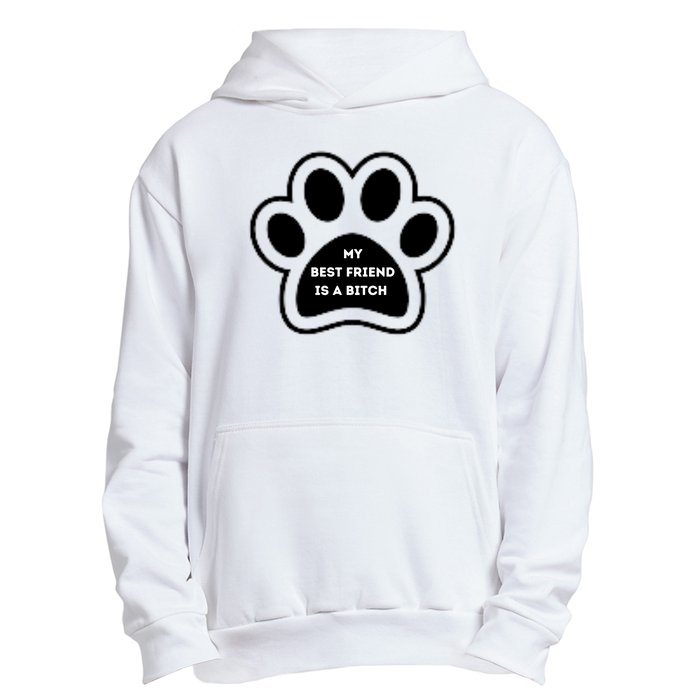 Funny My Best Friend Is A Bitch! Dog Lover Urban Pullover Hoodie