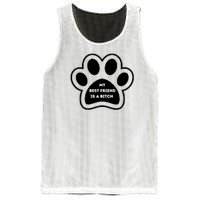 Funny My Best Friend Is A Bitch! Dog Lover Mesh Reversible Basketball Jersey Tank