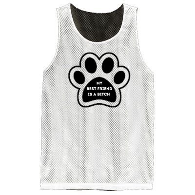 Funny My Best Friend Is A Bitch! Dog Lover Mesh Reversible Basketball Jersey Tank