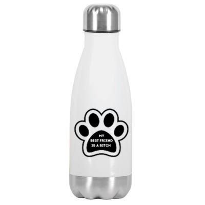 Funny My Best Friend Is A Bitch! Dog Lover Stainless Steel Insulated Water Bottle