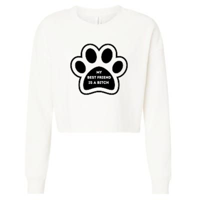 Funny My Best Friend Is A Bitch! Dog Lover Cropped Pullover Crew