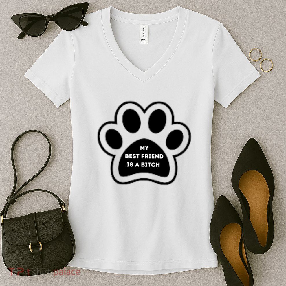 Funny My Best Friend Is A Bitch! Dog Lover Women's V-Neck T-Shirt