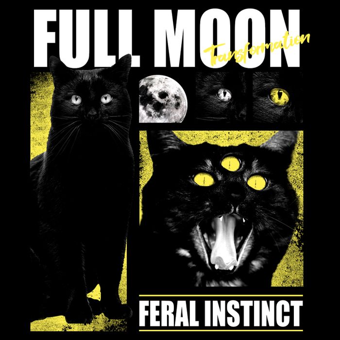 Full Moon Black Cat Transformation 16 in Basic Backpack