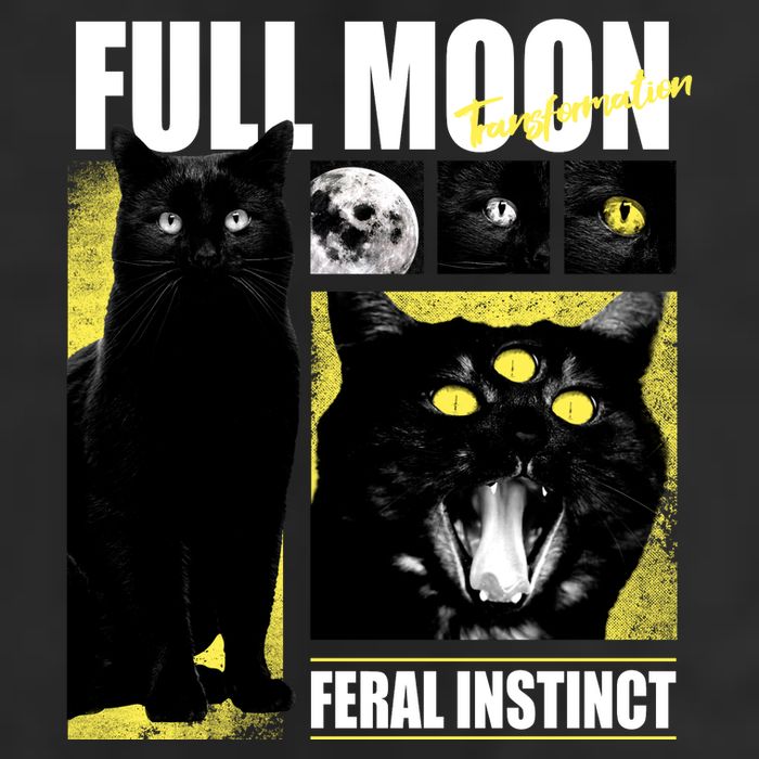 Full Moon Black Cat Transformation Tumbler