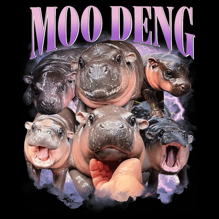 Funny Moodeng Baby Pygmy Hippo Cute Zoo For Family Moo Deng Lovers Coaster