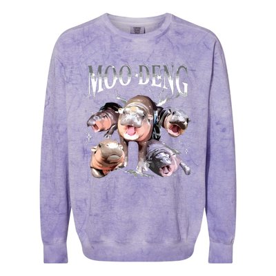 Funny Moodeng Baby Pygmy Hippo Cute Zoo For Family Colorblast Crewneck Sweatshirt