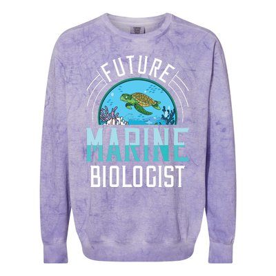 Future Marine Biologist Biology Ocean Life Colorblast Crewneck Sweatshirt