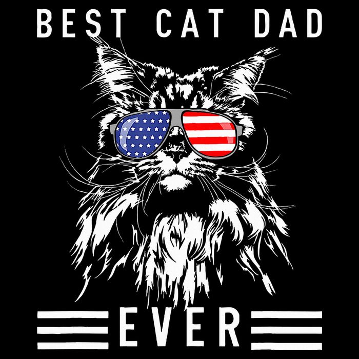 Funny Maine Coon Cat Best Cat Dad Ever Funny Cat Maine Coon 16 in Basic Backpack
