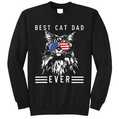 Funny Maine Coon Cat Best Cat Dad Ever Funny Cat Maine Coon Tall Sweatshirt