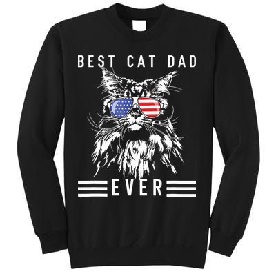 Funny Maine Coon Cat Best Cat Dad Ever Funny Cat Maine Coon Sweatshirt