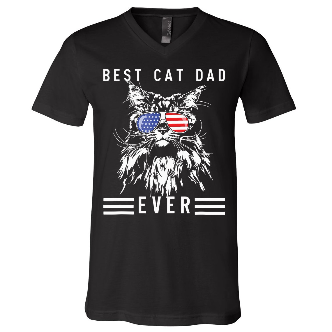 Funny Maine Coon Cat Best Cat Dad Ever Funny Cat Maine Coon V-Neck T-Shirt