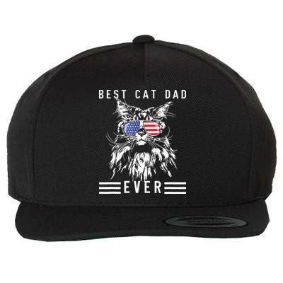 Funny Maine Coon Cat Best Cat Dad Ever Funny Cat Maine Coon Wool Snapback Cap