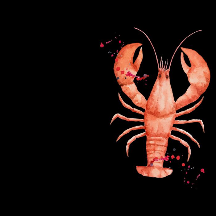 Feed Me Crawfish And Tell Me I'm Pretty 16oz Travel Tumbler