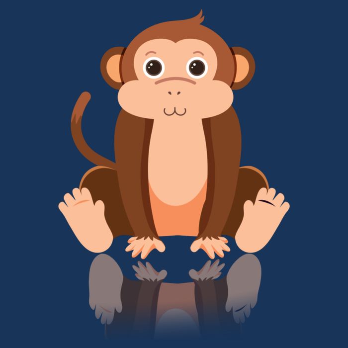 Funny Monkey Chimpanzee Ape Zoo Animal Lover Design Poster
