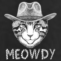 Funny Meowdy Cowboy Cat 11oz C Handle Ceramic Mug