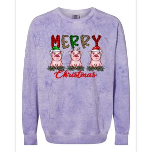 Funny Merry Christmas Pig Farming Farmer Pig Xmas Pig Lover Gift Colorblast Crewneck Sweatshirt