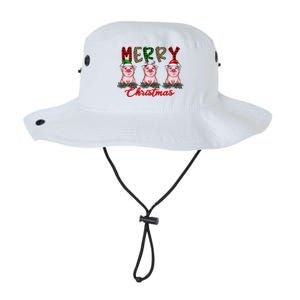 Funny Merry Christmas Pig Farming Farmer Pig Xmas Pig Lover Gift Legacy Cool Fit Booney Bucket Hat