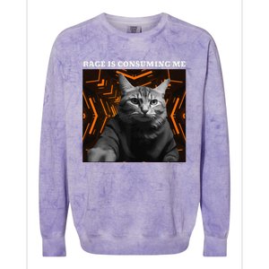 Funny Meme Cat Rage Is Consuming Me Colorblast Crewneck Sweatshirt