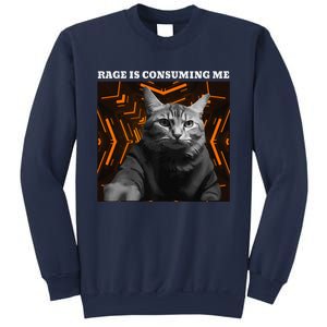 Funny Meme Cat Rage Is Consuming Me Sweatshirt