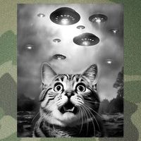 Funny Meme Cat Selfie With Alien Ufos Funny Cat Lovers Aliens Ufo Legacy Tie Dye Trucker Hat