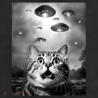 Funny Meme Cat Selfie With Alien Ufos Funny Cat Lovers Aliens Ufo Cool Comfort Performance Bucket Hat