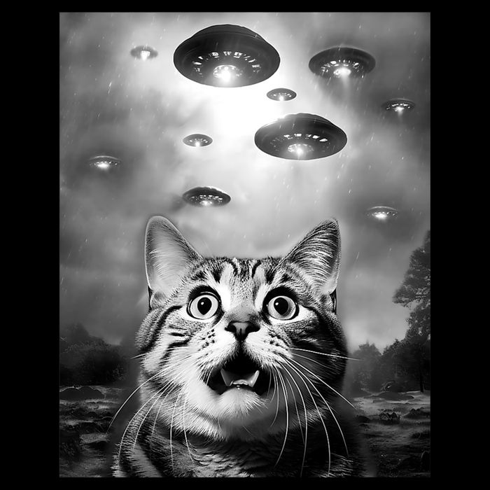 Funny Meme Cat Selfie With Alien Ufos Funny Cat Lovers Aliens Ufo City Backpack