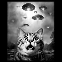 Funny Meme Cat Selfie With Alien Ufos Funny Cat Lovers Aliens Ufo Sustainable Bucket Hat