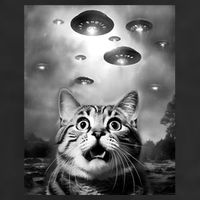 Funny Meme Cat Selfie With Alien Ufos Funny Cat Lovers Aliens Ufo Adult Drive Performance Visor