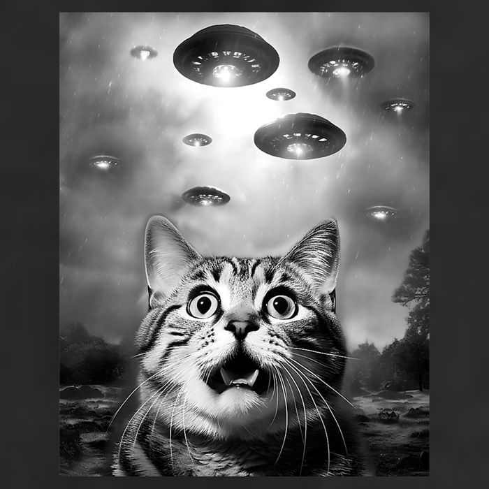 Funny Meme Cat Selfie With Alien Ufos Funny Cat Lovers Aliens Ufo Adult Drive Performance Visor