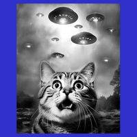 Funny Meme Cat Selfie With Alien Ufos Funny Cat Lovers Aliens Ufo 16 in Basic Backpack
