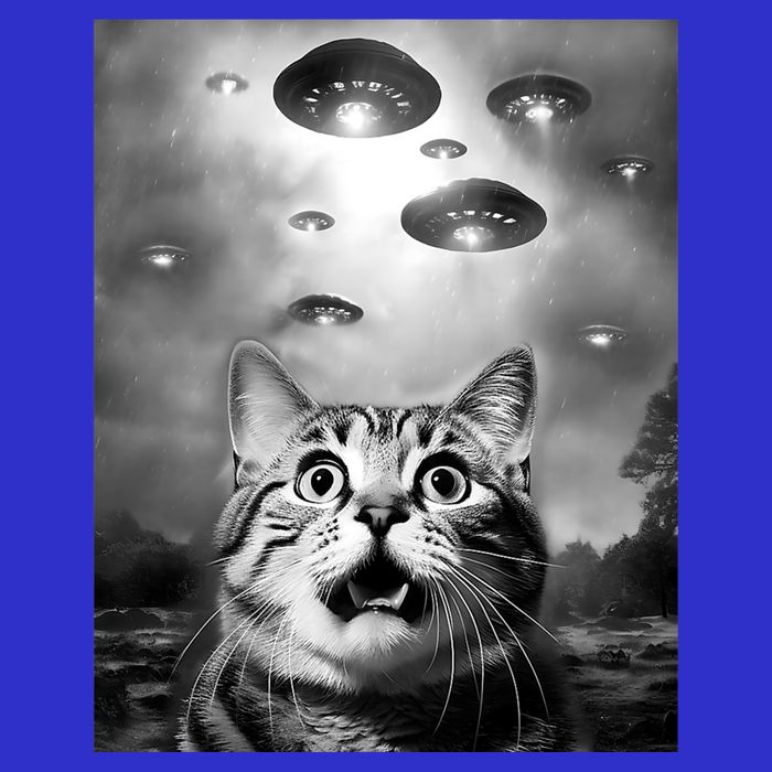 Funny Meme Cat Selfie With Alien Ufos Funny Cat Lovers Aliens Ufo 16 in Basic Backpack