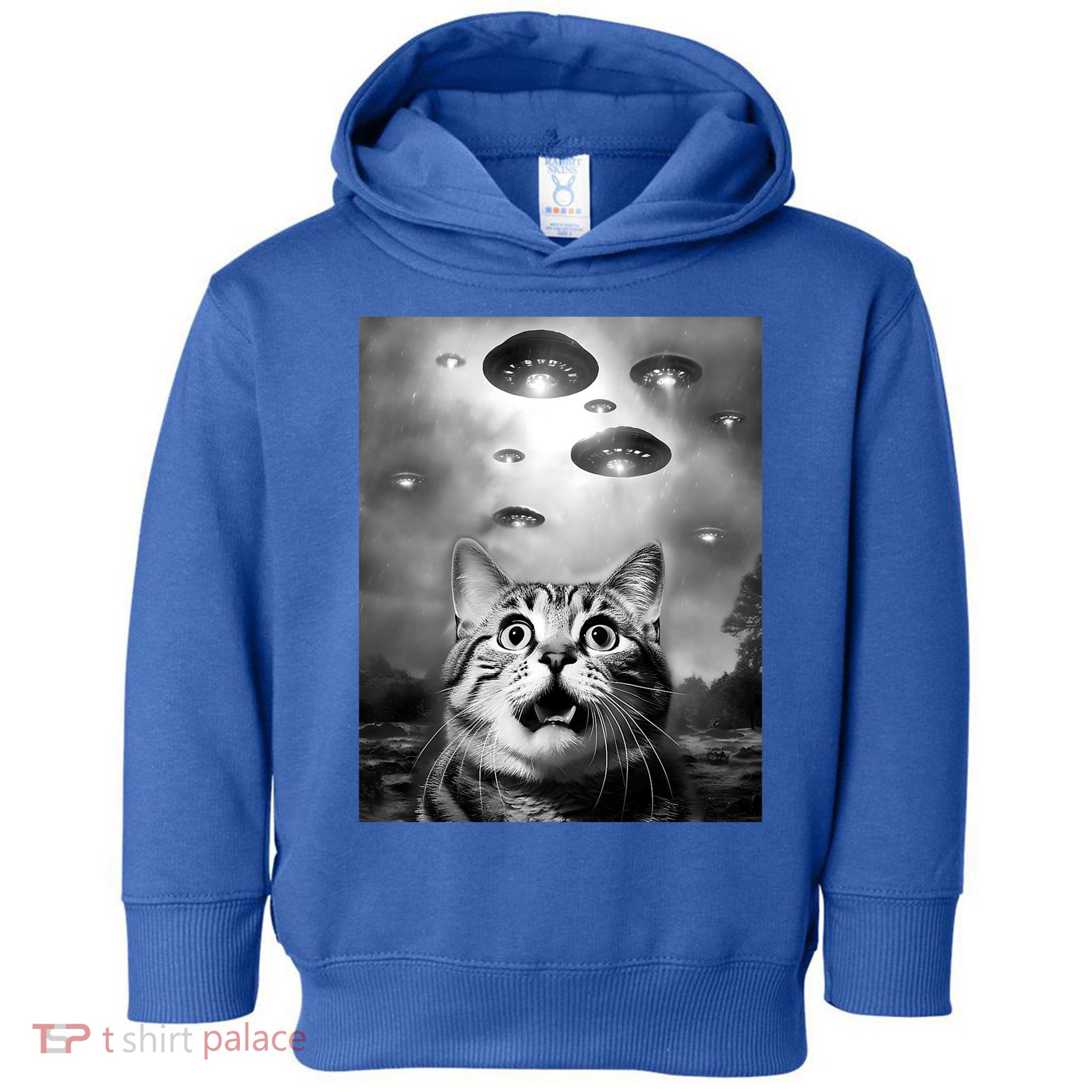 Funny Meme Cat Selfie With Alien Ufos Funny Cat Lovers Aliens Ufo Toddler Hoodie