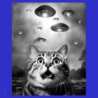 Funny Meme Cat Selfie With Alien Ufos Funny Cat Lovers Aliens Ufo Toddler Hoodie