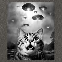 Funny Meme Cat Selfie With Alien Ufos Funny Cat Lovers Aliens Ufo Cotton Canvas Backpack