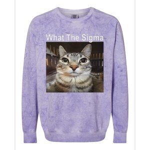 Funny Meme Cat What The Sigma Cute Cat Meme Quote Colorblast Crewneck Sweatshirt