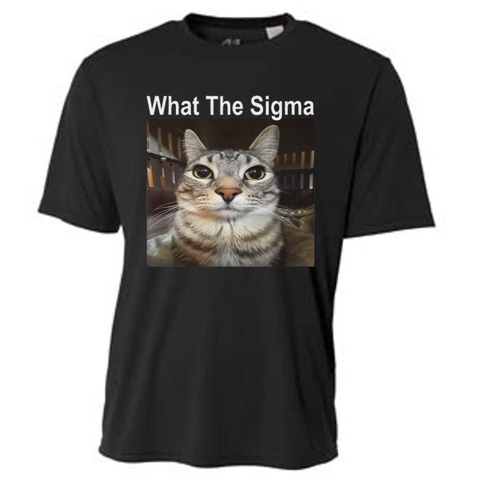 Funny Meme Cat What The Sigma Cute Cat Meme Quote Cooling Performance Crew T-Shirt