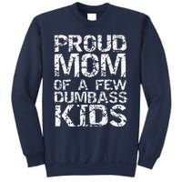 Funny MotherS Day Joke Gift Proud Mom Of A Few Dumbass Sweatshirt