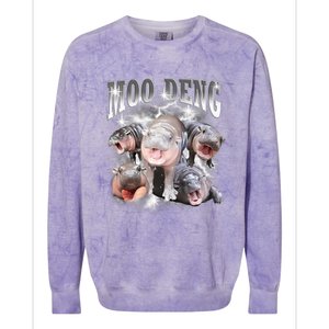 Funny Moo Deng Kawaii Pygmy Hippo Cute Zoo Animal Lover Colorblast Crewneck Sweatshirt