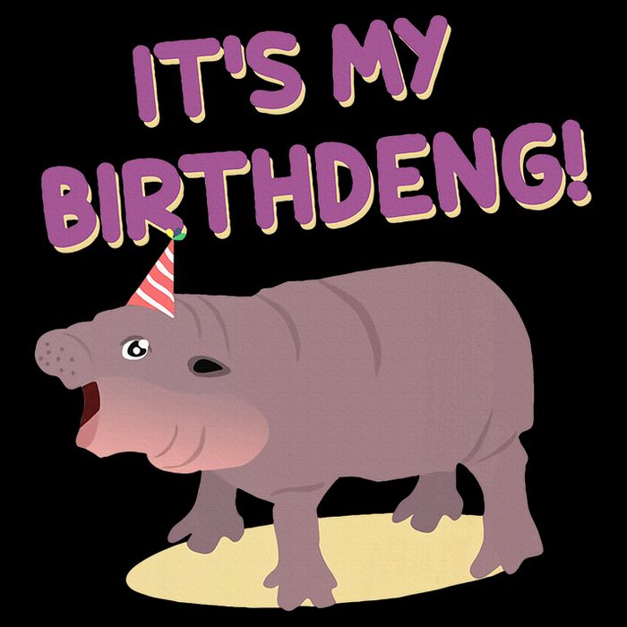 Funny Moo Deng Baby Hippo Cute ItS My Birthday Birthdeng Cooling Performance Crew T-Shirt